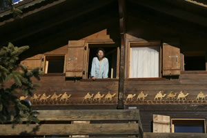 Hind at the window